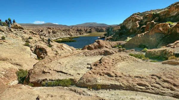 Laguna en Altiplano. Bolivia, América del Sur . —  Fotos de Stock