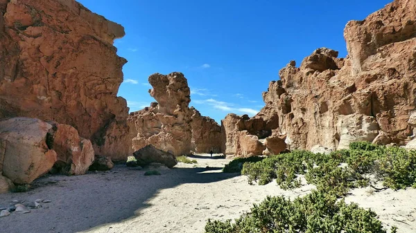 Altiplano kayalarda. Bolivya, Güney Amerika.