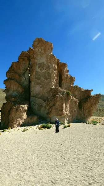 Пустыня в Альтиплано. Боливия, Южная Америка . — стоковое фото