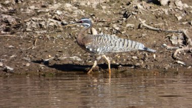 Güneş Bolivya, Güney Amerika.