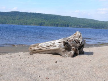 Pembroke Rock'ta. Kanada, Kuzey Amerika.