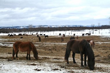 Quebec at. Kanada, Kuzey Amerika.