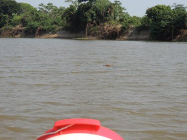 Fleuve gezisi. Bolivya, Güney Amerika.