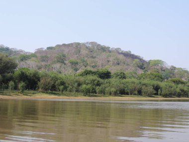 Fleuve gezisi. Bolivya, Güney Amerika.