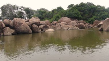 Nehirde Fleuve. Bolivya, Güney Amerika.