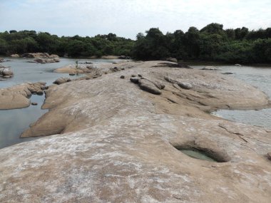 Nehirde Fleuve. Bolivya, Güney Amerika.