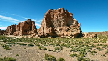 Altiplano kayalarda. Bolivya, Güney Amerika.