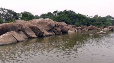 Nehirde Fleuve. Bolivya, Güney Amerika.