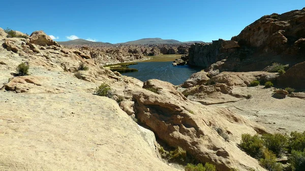 高原的咸水湖。玻利维亚南美洲. — 图库照片