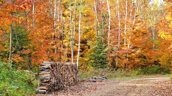 Quebec sonbaharda. Kanada, Kuzey Amerika.