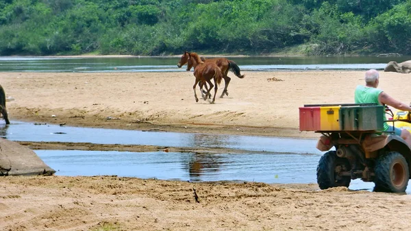 Nehirde Fleuve. Bolivya, Güney Amerika.