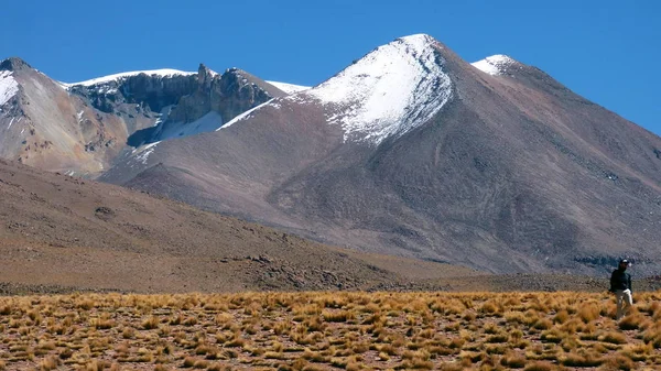 Deserto di Siloli ad Altiplano. Bolivia, Sud America . — Foto Stock
