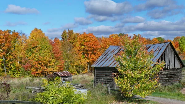 Quebec sonbaharda. Kanada, Kuzey Amerika.