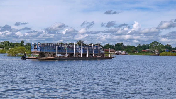 Mamore içinde mavna. Bolivya, Güney Amerika.