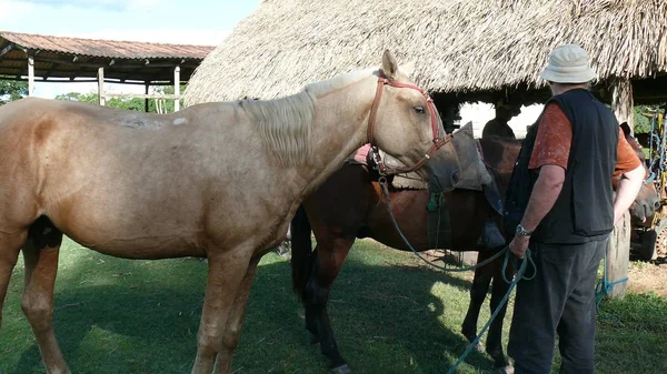 Estancia Bolivya, Güney Amerika.