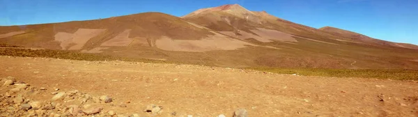 Altiplano에 필드입니다. 볼리비아, 남아메리카. — 스톡 사진