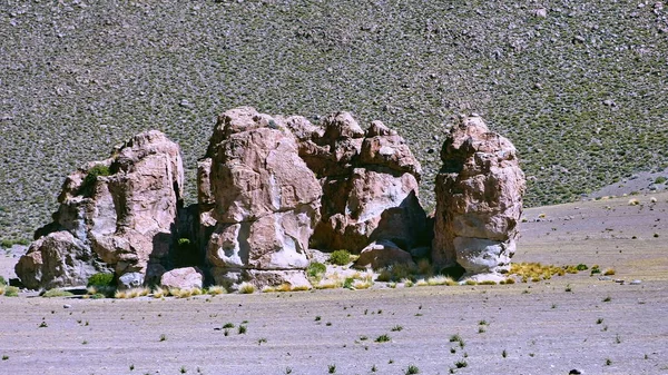 Rock in Altiplano. Bolívia, América do Sul . — Fotografia de Stock