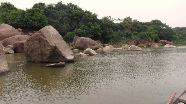 Nehirde Fleuve. Bolivya, Güney Amerika.