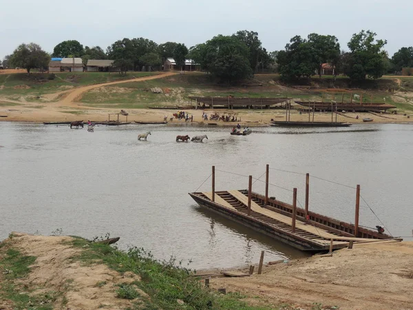 Fleuve içinde feribot. Bolivya, Güney Amerika.