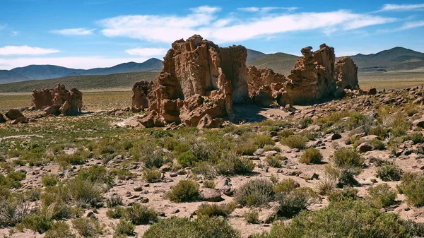 Desierto en Altiplano. Bolivia, América del Sur . —  Fotos de Stock