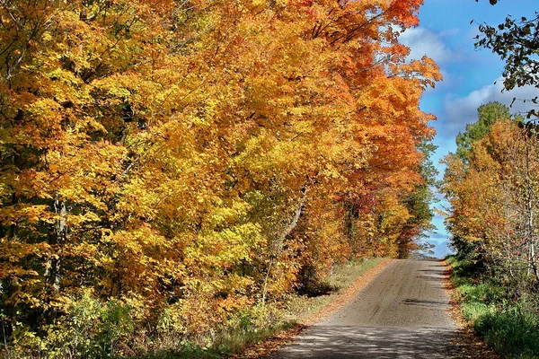 Otoño en Quebec. Canadá, América del Norte . — Foto de Stock