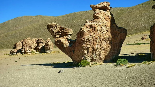 Sivatag határán. Bolívia, Dél-Amerika. — Stock Fotó