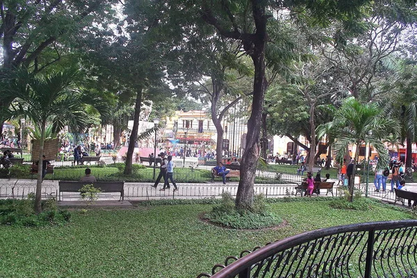 Parti Trinidad. Bolivya, Güney Amerika.