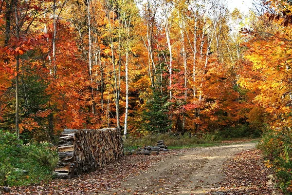 Hösten i Quebec. Kanada, Nordamerika. — Stockfoto