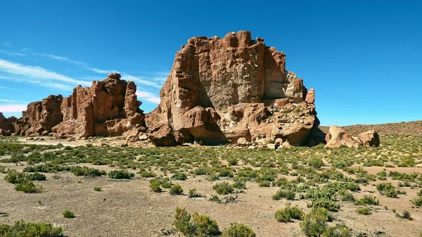 Altiplano kayalarda. Bolivya, Güney Amerika.