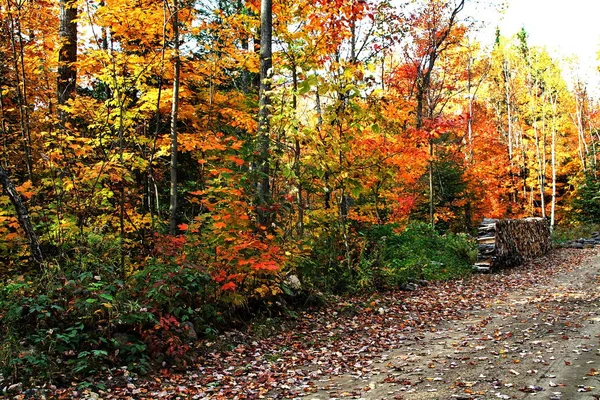 Quebec sonbaharda. Kanada, Kuzey Amerika.