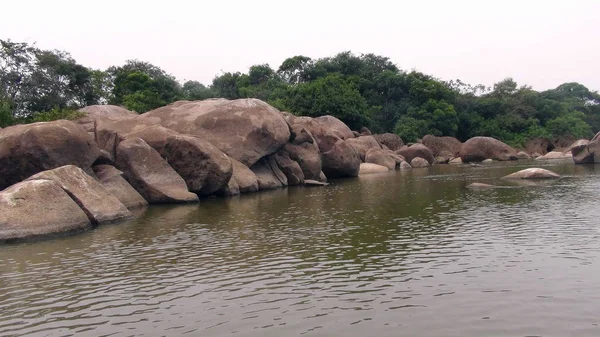 Nehirde Fleuve. Bolivya, Güney Amerika.