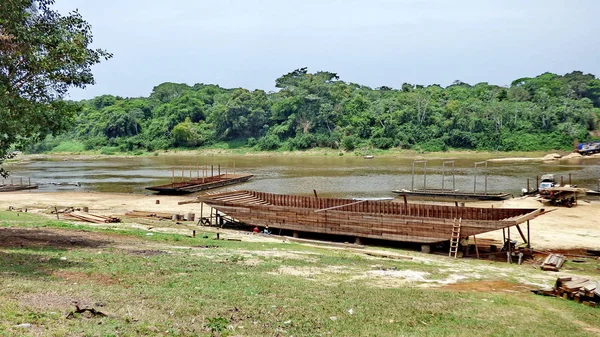 Nehirde Fleuve. Bolivya, Güney Amerika.