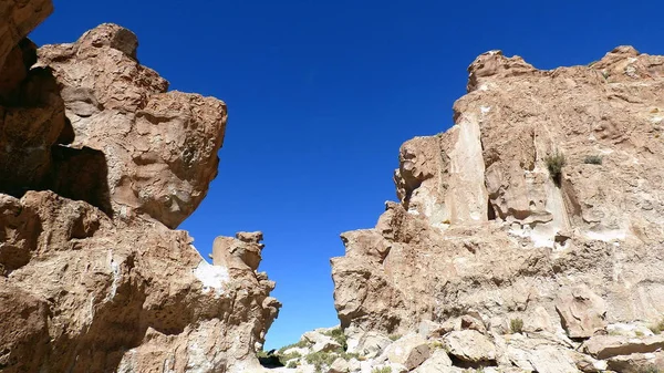 Altiplano Rock'ta. Bolivya, Güney Amerika.