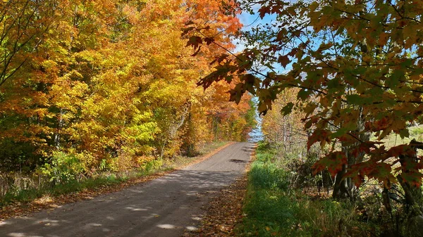 Otoño en Quebec. Canadá, América del Norte . — Foto de Stock