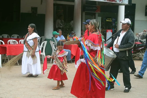 Parti Trinidad. Bolivya, Güney Amerika. — Stok fotoğraf