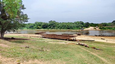 Nehirde Fleuve. Bolivya, Güney Amerika.