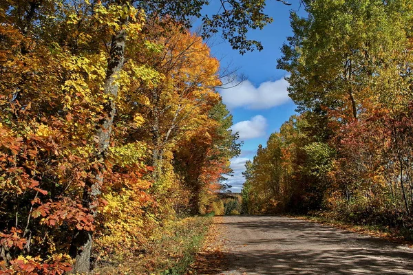 Quebec çiftlikleri. Kanada, Kuzey Amerika.