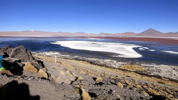 Laguna in altiplano. Bolivien, Südamerika. — Stockfoto