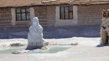 Güney Amerika 'dan çeşitli resimler. Landcapes, fauna, flora...