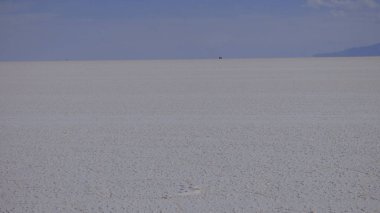 Güney Amerika 'dan çeşitli resimler. Landcapes, fauna, flora...