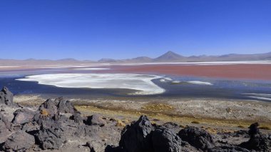 Güney Amerika 'dan çeşitli resimler. Landcapes, fauna, flora...