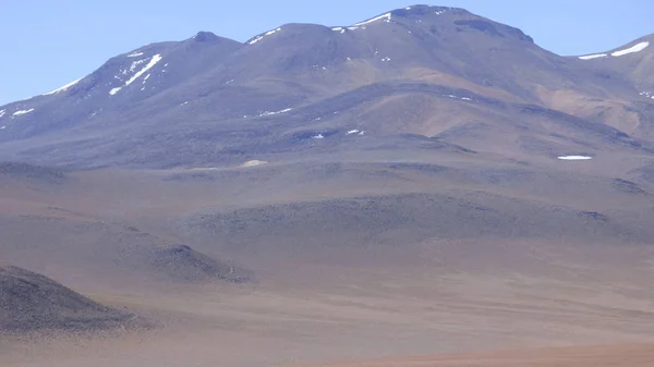 Güney Amerika Dan Çeşitli Resimler Landcapes Fauna Flora — Stok fotoğraf