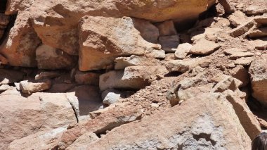 Güney Amerika 'dan çeşitli resimler. Landcapes, fauna, flora...