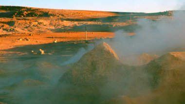 Güney Amerika 'dan çeşitli resimler. Landcapes, fauna, flora...