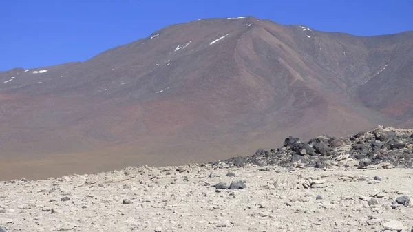 Diverses Photos Amérique Sud Paysages Faune Flore — Photo