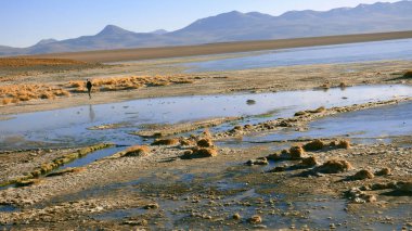 Güney Amerika 'dan çeşitli resimler. Landcapes, fauna, flora...