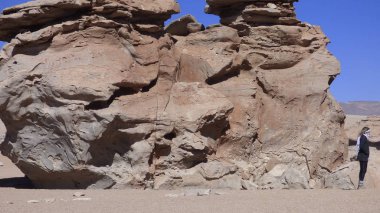 Altiplano Rock'ta. Bolivya, Güney Amerika