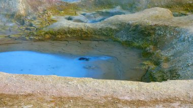 Güney Amerika 'dan çeşitli resimler. Landcapes, fauna, flora...