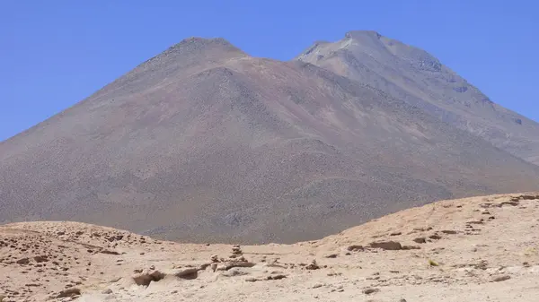 Montagne Vulcani Deserti Lagune Sull Altipiano Boliviano Alcune Pinks Flaminbos — Foto Stock