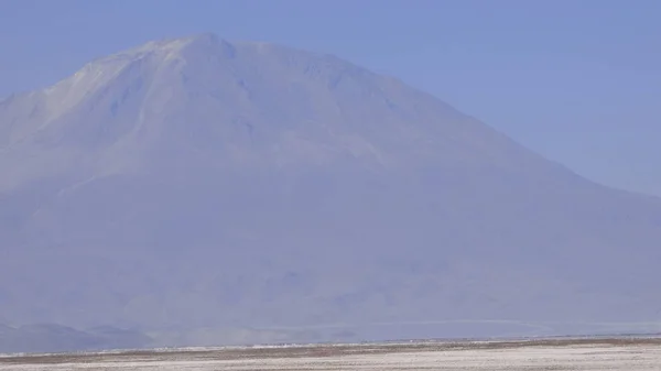 Dağlar Vulkanlar Çöller Bolivya Altiplanosunda Lagunalar Bazı Pembe Flaminbolar — Stok fotoğraf